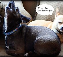 Where Are My Earplugs??! by AngieBanta