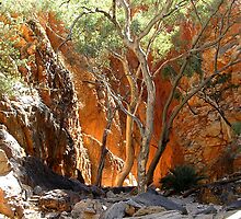 Standley Chasm by John Vriesekolk