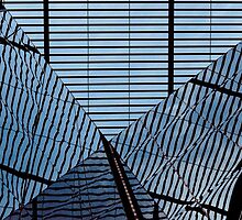 Reflective Ripples of Disorientation by dansLesprit