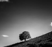 Stand Up by Bob Larson