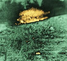 The Fire Next Time by Lenore Senior