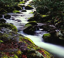STREAM,ROARING FORK by Chuck Wickham