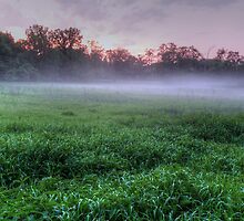 Misty Glen Just After Sunset by marshmaven