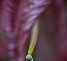 Its a Small World by Linda Cutche