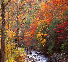 LITTLE RIVER,AUTUMN by Chuck Wickham