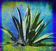 Aloha Blue by Susanne Van Hulst