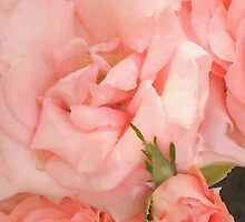 Love You by Elenne Boothe