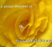 Beautiful Banners Challenge! by Susie Hawkins