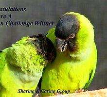 CONGRATULATIONS! - Top 10 Challenge Winner - Sharing & Caring by AndreaEL