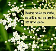 Comfort One Another ~ 1 Thessalonians 5:11 by Robin Clifton