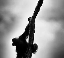 Needing A Helping Hand by Damienne Bingham