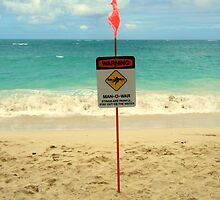 Thanks for the warning by Chuck Chisler