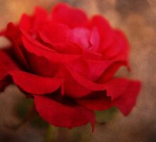 All for love by Agnes McGuinness