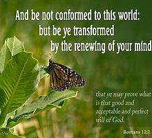 But Be Transformed ~ Romans 12:2 by Robin Clifton