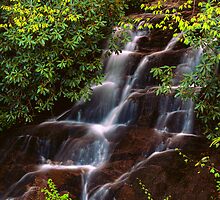 WOODFIN CASCADE by Chuck Wickham