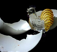 Where are my chicks? by mariatheresa