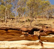 Slice of earth by andy king