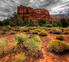 2 Hours in Sedona Series 1 by Bob Larson