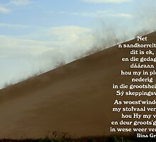 Net 'n Sandkorreltjie by Rina Greeff
