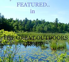TEMP BANNER FOR GREAT OUTDOORS GROUP by linmarie
