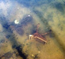 Sunken Treasure! by Peter Ackers