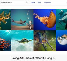 Under the Sea - 13 August 2011 by The RedBubble Homepage