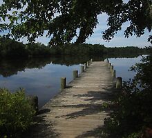 Summer Stillness by RVogler