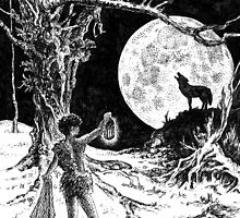 The Wolves Are Running by Barnaby Edwards
