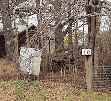 Overgrown #10 mail box by Tom McDonnell