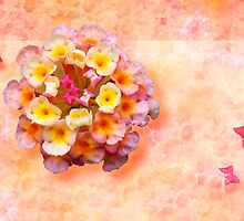 Pink Bow Ties or Puffy Butterflies...? by Virginia McCorkell