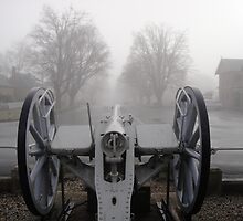 Cannon at Ross by Wendy Dyer