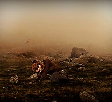 Despair by Vanessa Barklay