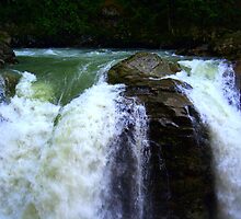 "Brink of the Falls" by Lynn Bawden