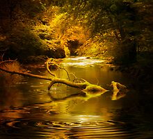 Landscape by Svetlana Sewell