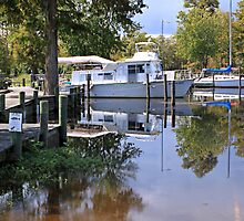 Murky Water by WeeZie