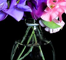 Antipodes, still by David Mellor