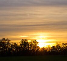 Moments in Time by Tom Baurain