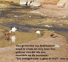 Vier geveerdes van Brakkontrei by Rina Greeff