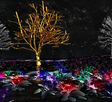 Grove of Living Gems by Hannah Joy Patterson