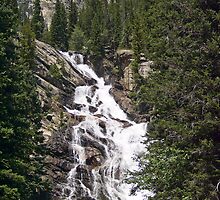 Hidden Falls in Grand Teton National Park, Wyoming, USA by Kenneth Keifer