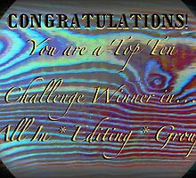 TEMP. banner for top ten challenge winners in all in editing group by linmarie