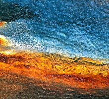 Perceptions of View (You) by Scott Cook