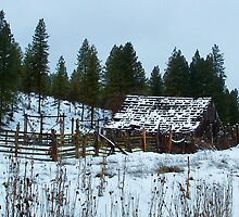 Dilapidated Barn..Between Ritter and Bates Oregon by trueblvr
