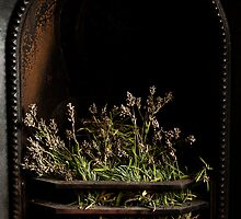 Lavender Fire by Anne Gilbert