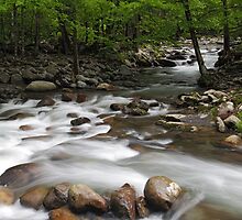 Convergence by Gary L Suddath