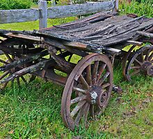 Complete Loss. by Julie White