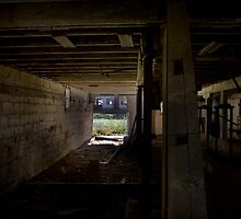 John Wayne Gacy - Serial Killer Unearthed Again by Adam Bykowski