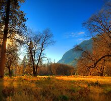 Yosemite National Park by Eyal Nahmias