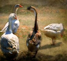 What's Good For The Goose... by Mark Richards