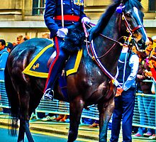 Saddled soldier by justbmac